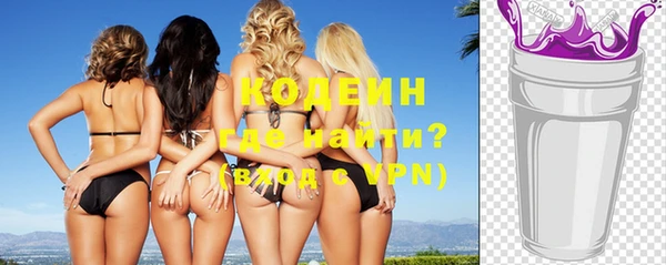 шишки Заволжье