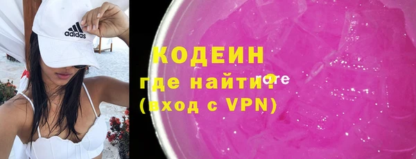 шишки Заволжье