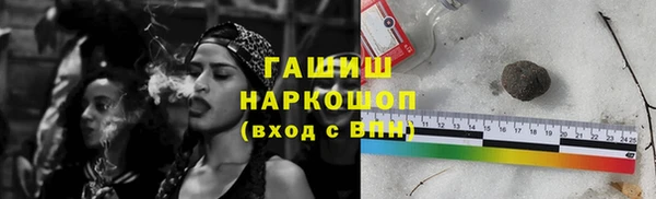 шишки Заволжье