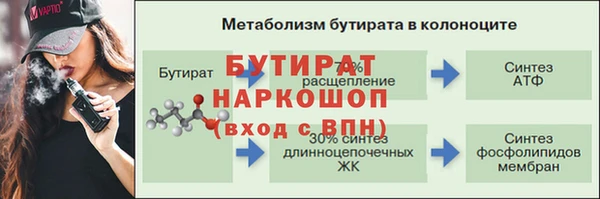 шишки Заволжье
