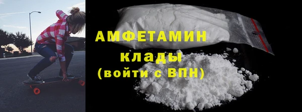 шишки Заволжье