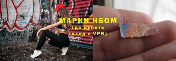 шишки Заволжье