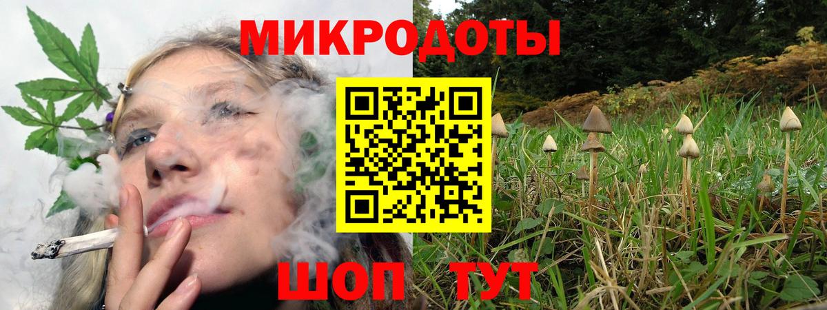 Галлюциногенные грибы Psilocybine cubensis  Вход с VPN  Галлюциногенные грибы ЛСД  Протвино 