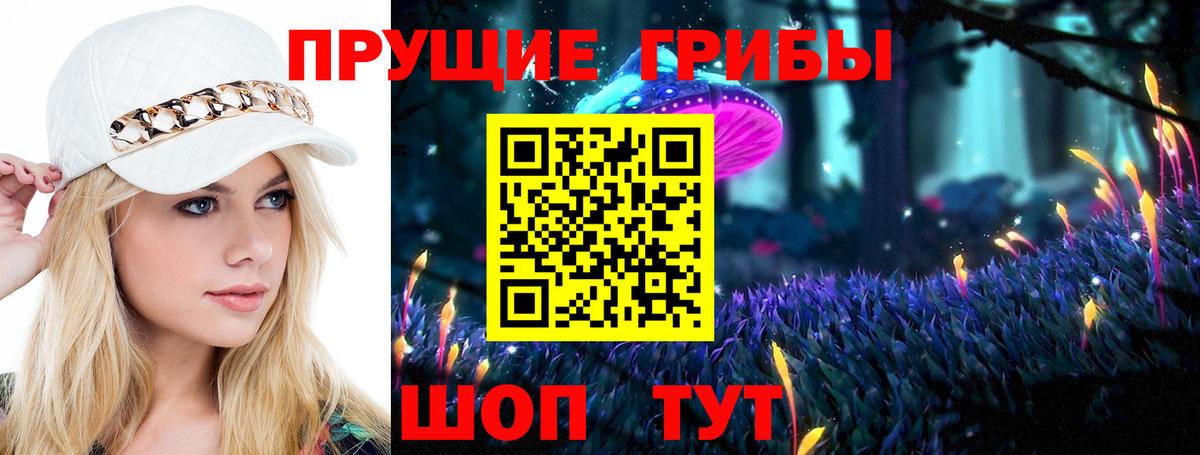 Галлюциногенные грибы Cubensis Протвино